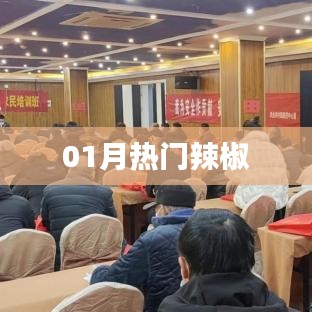 热门辣椒来袭！一月尝鲜必备之选