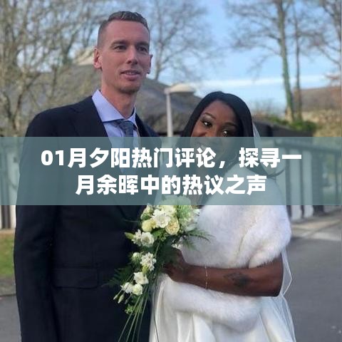 热门评论探寻，一月夕阳余晖热议之声