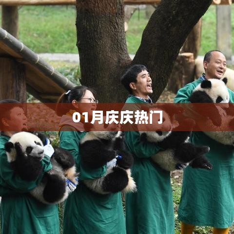 庆庆一月热门活动盘点