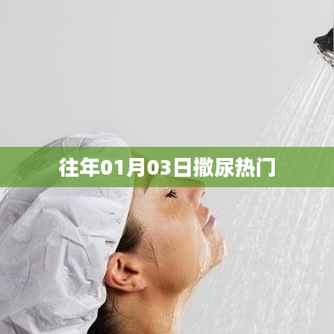 撒尿热点回顾，历年一月三日动态解析