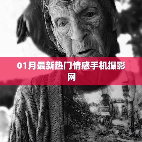 最新热门情感手机摄影网动态更新