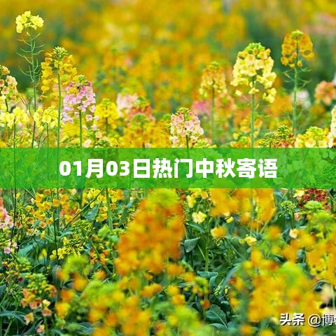中秋佳节寄语，温馨祝福，情感满载