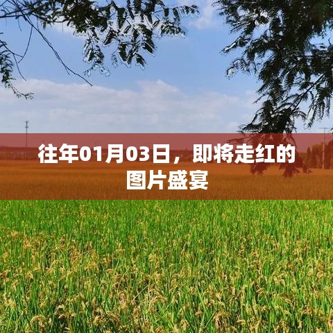 新年图片盛宴即将开启
