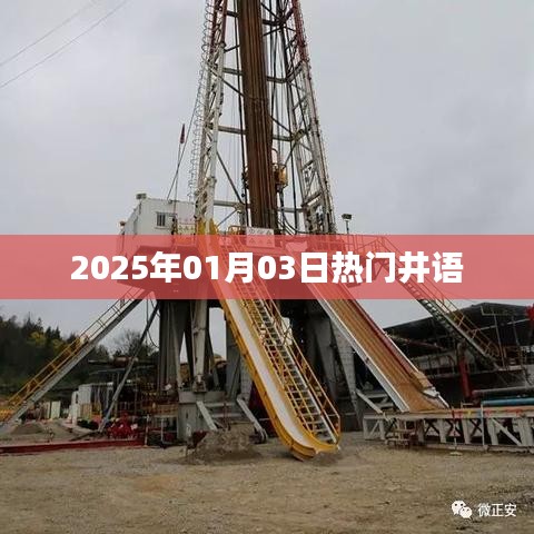 井语热议，2025年新年新动向
