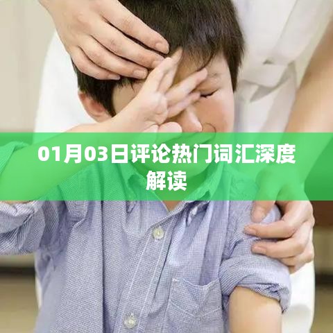 热门评论词汇深度解读，01月03日分析