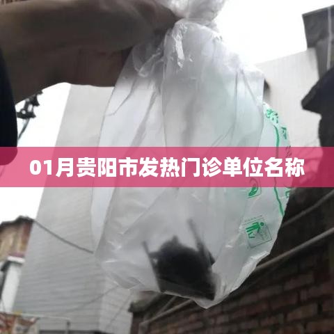 贵阳市一月份发热门诊单位名称列表