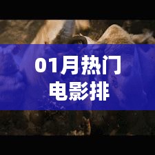兵贵神速 第3页