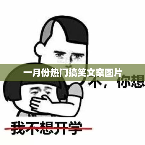 一月热门搞笑文案图片盘点