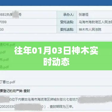 神木市最新实时动态（日期）