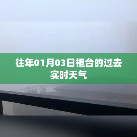 桓台历史天气查询，一月份第三日天气实时播报
