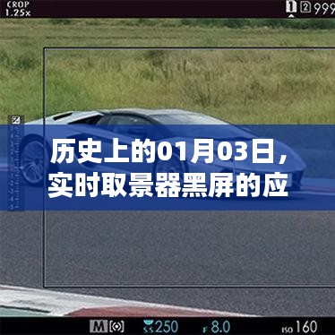 实时取景器黑屏应对之策，历史日期揭秘