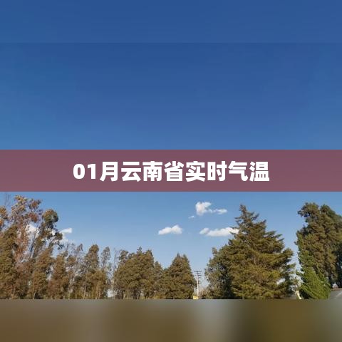 云南省最新实时气温数据发布
