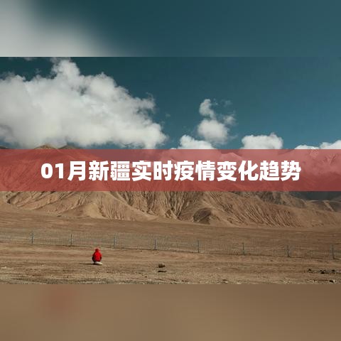 新疆最新疫情实时动态变化分析