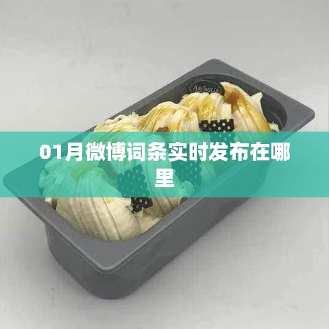 微博实时发布功能使用指南，如何发布一月微博词条？
