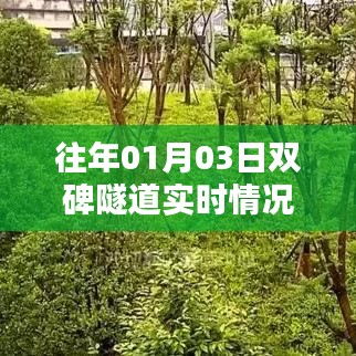 双碑隧道历年一月初实时交通状况回顾