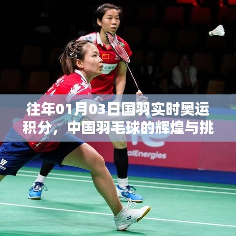 国羽奥运积分实时更新，辉煌与挑战并存