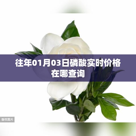 磷酸实时价格查询，最新市场动态一览