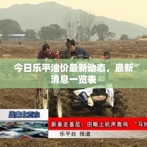今日乐平油价最新动态，最新消息一览表
