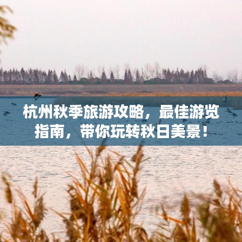 杭州秋季旅游攻略，最佳游览指南，带你玩转秋日美景！