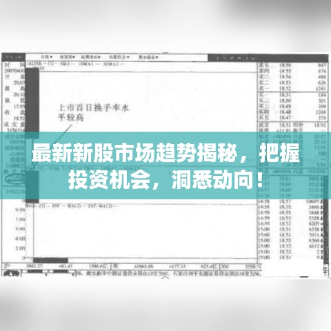 最新新股市场趋势揭秘，把握投资机会，洞悉动向！