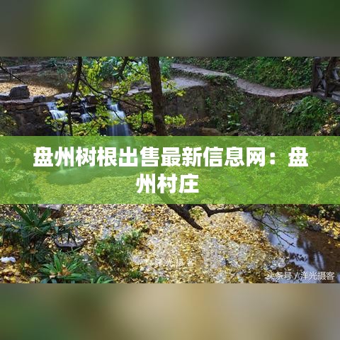 盘州树根出售最新信息网：盘州村庄 
