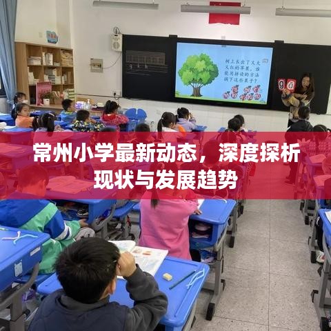 常州小学最新动态，深度探析现状与发展趋势