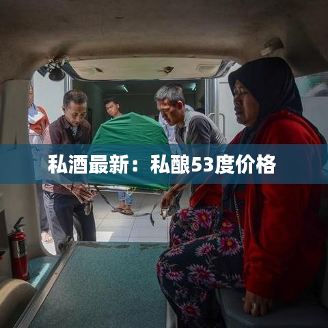 私酒最新：私酿53度价格 