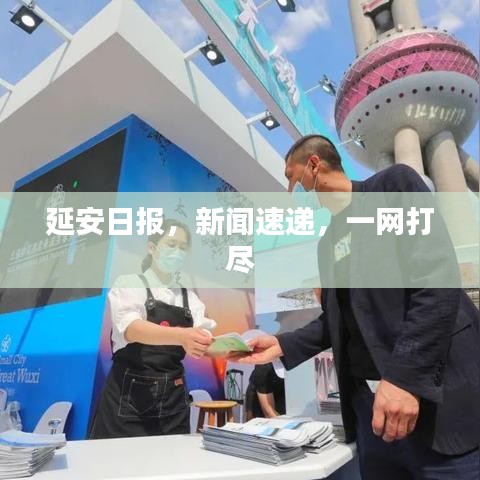 延安日报，新闻速递，一网打尽