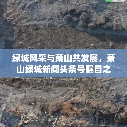 绿城风采与萧山共发展，萧山绿城新闻头条号瞩目之选