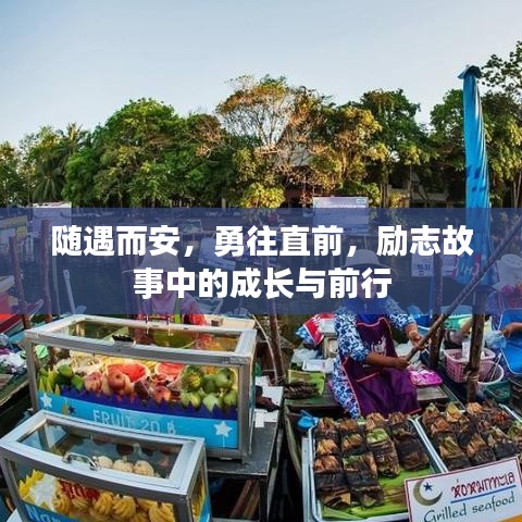 随遇而安，勇往直前，励志故事中的成长与前行