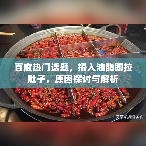 百度热门话题，摄入油脂即拉肚子，原因探讨与解析