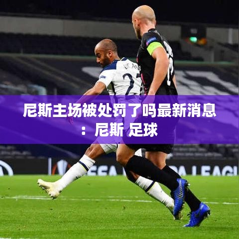 尼斯主场被处罚了吗最新消息：尼斯 足球 