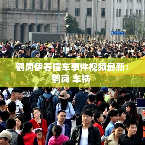 鹤岗伊春撞车事件视频最新：鹤岗 车祸 