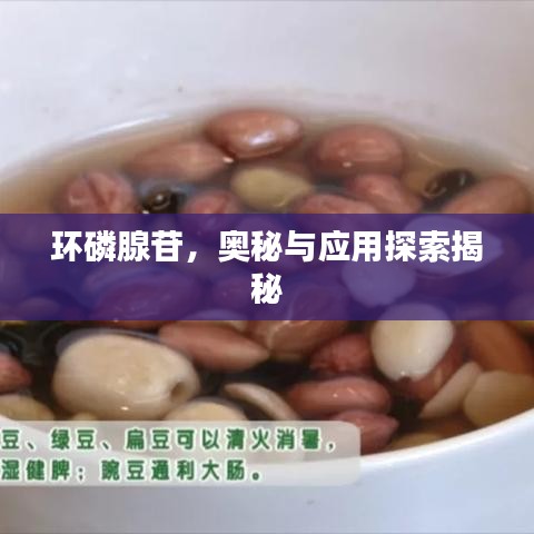 环磷腺苷，奥秘与应用探索揭秘