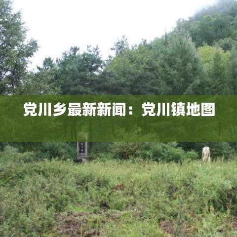 党川乡最新新闻：党川镇地图 