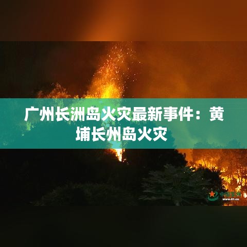 广州长洲岛火灾最新事件：黄埔长州岛火灾 