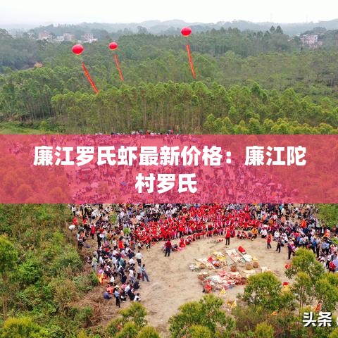 廉江罗氏虾最新价格：廉江陀村罗氏 