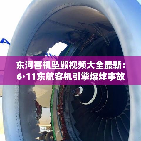 东河客机坠毁视频大全最新：6·11东航客机引擎爆炸事故 