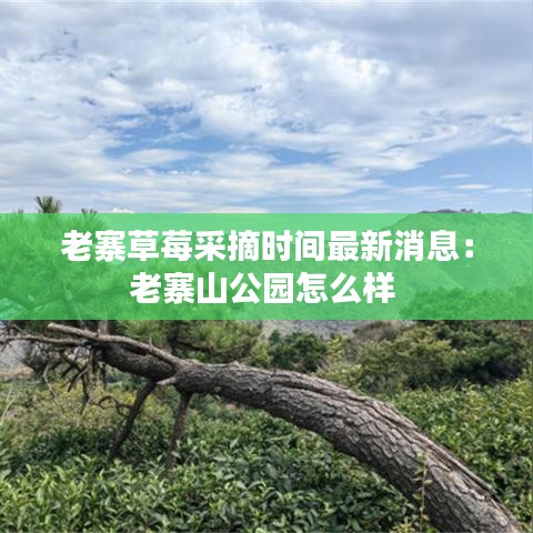 贵冠履轻头足 第2页
