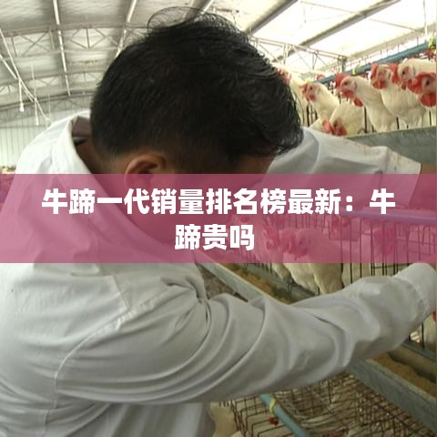 牛蹄一代销量排名榜最新：牛蹄贵吗 