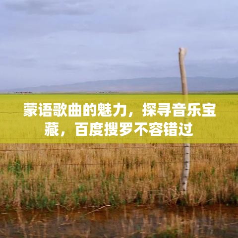 蒙语歌曲的魅力，探寻音乐宝藏，百度搜罗不容错过