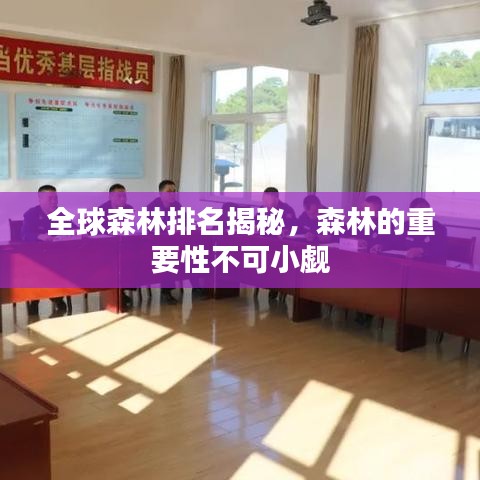 全球森林排名揭秘，森林的重要性不可小觑
