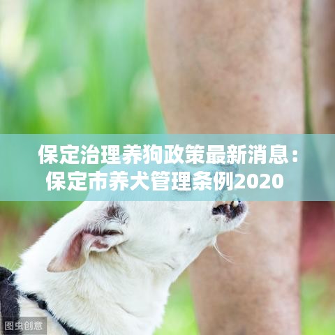 保定治理养狗政策最新消息：保定市养犬管理条例2020 