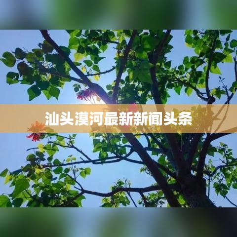 老死不相往来 第2页