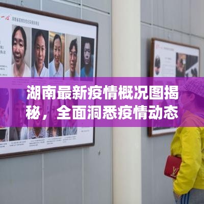 湖南最新疫情概况图揭秘，全面洞悉疫情动态，科学应对防控战