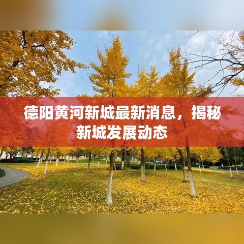 德阳黄河新城最新消息，揭秘新城发展动态