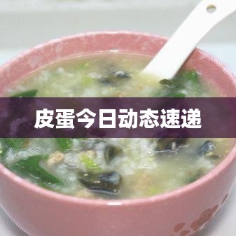 皮蛋今日动态速递