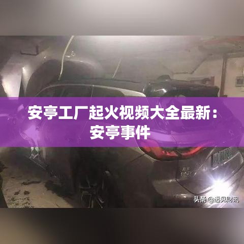 贵险贱璧 第2页