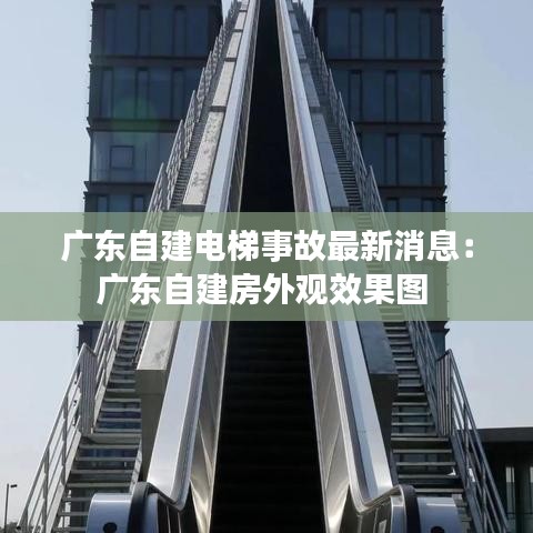 广东自建电梯事故最新消息：广东自建房外观效果图 