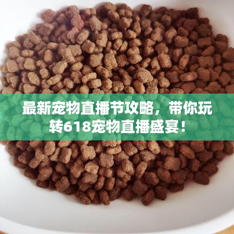最新宠物直播节攻略，带你玩转618宠物直播盛宴！